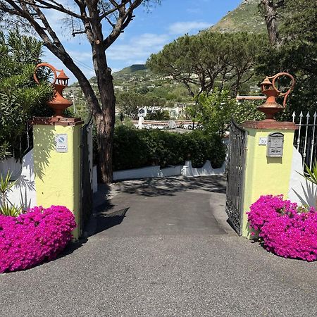 Hotel Park Calitto Форио Экстерьер фото