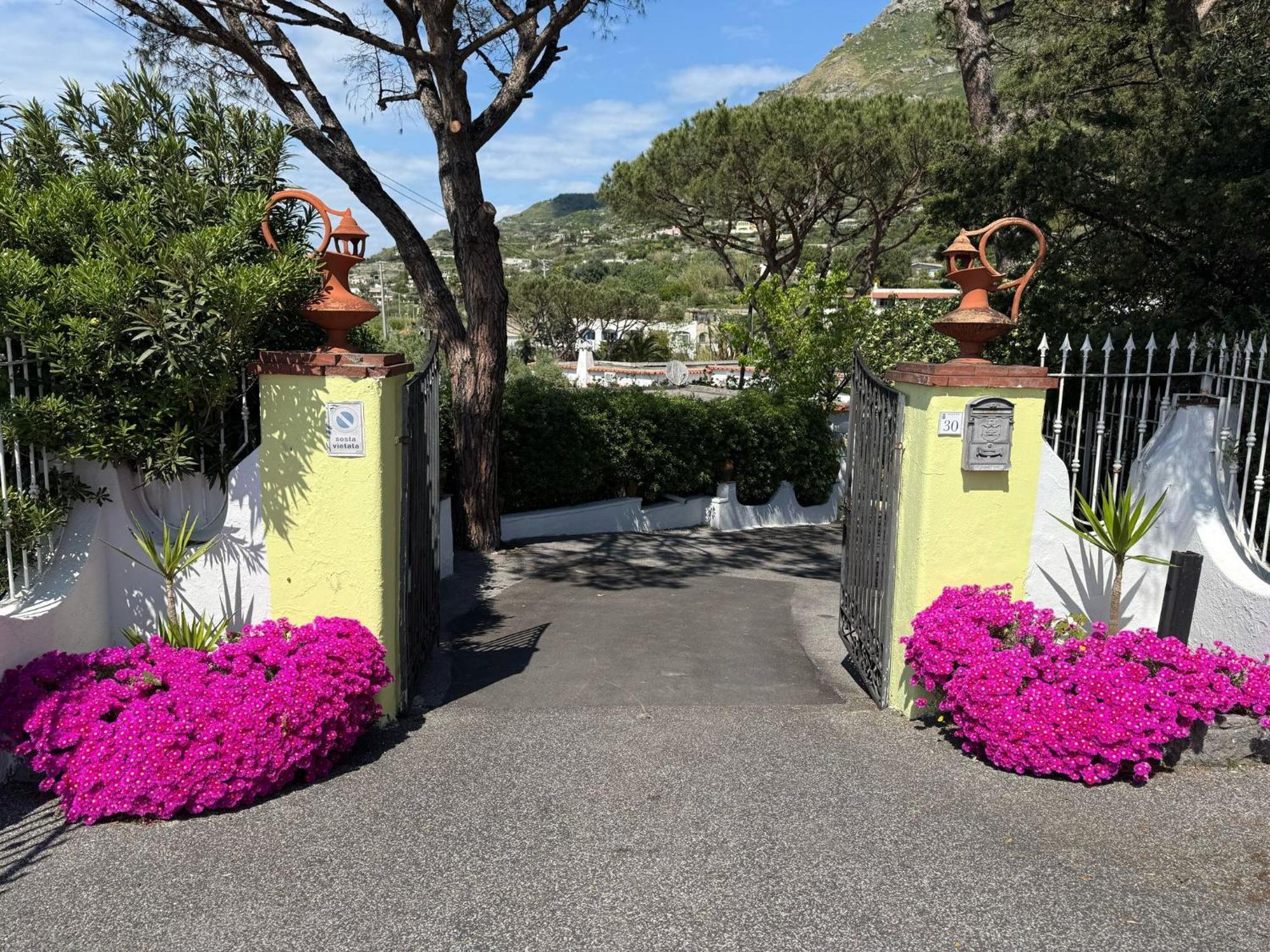 Hotel Park Calitto Форио Экстерьер фото
